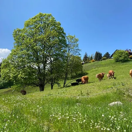 Petitchevrier - 6br Spacious In Villars - Designed For Accessibility