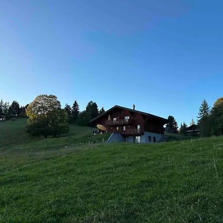 Petitchevrier - 6br Spacious In Villars - Designed For Accessibility 샬레