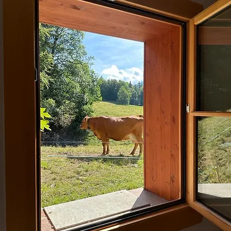 Chalet Petitchevrier - 6br Spacious In Villars - Designed For Accessibility *