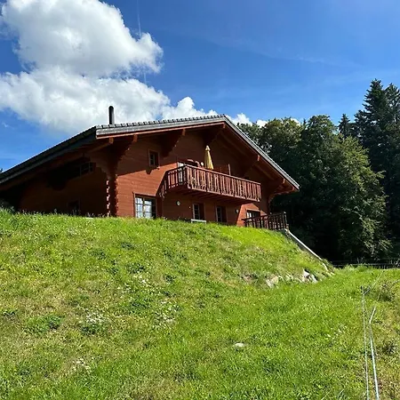 Petitchevrier - 6br Spacious In Villars - Designed For Accessibility Ollon