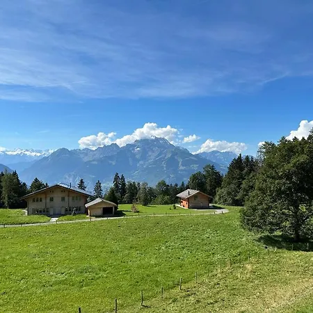Petitchevrier - 6br Spacious In Villars - Designed For Accessibility * Ollon