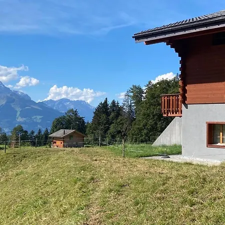 Petitchevrier - 6br Spacious In Villars - Designed For Accessibility * Ollon