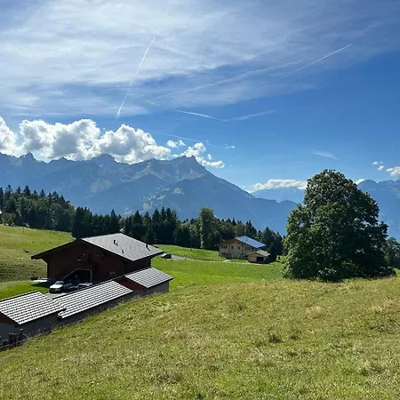 Petitchevrier - 6br Spacious In Villars - Designed For Accessibility Ollon