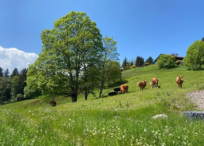 Petitchevrier - 6br Spacious In Villars - Designed For Accessibility