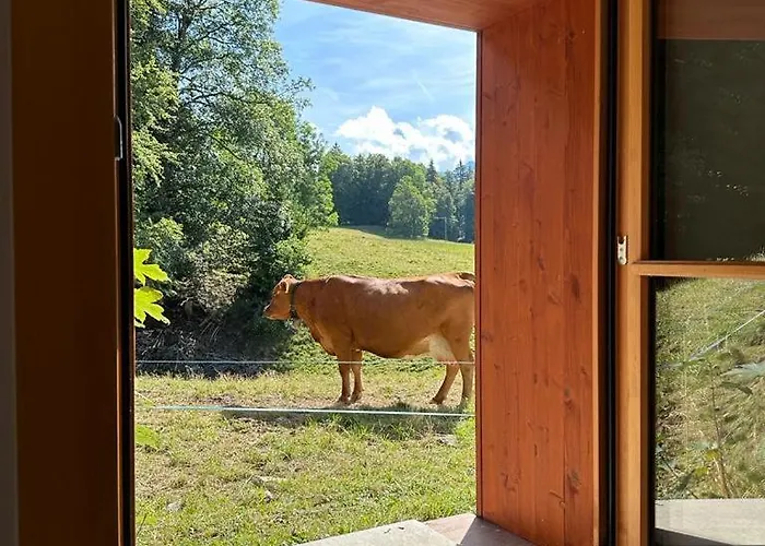 Chalet Petitchevrier - 6br Spacious In Villars - Designed For Accessibility *