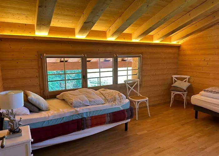 Petitchevrier - 6br Spacious In Villars - Designed For Accessibility * Ollon