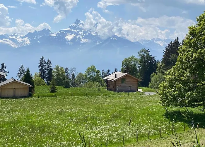 Petitchevrier - 6br Spacious In Villars - Designed For Accessibility