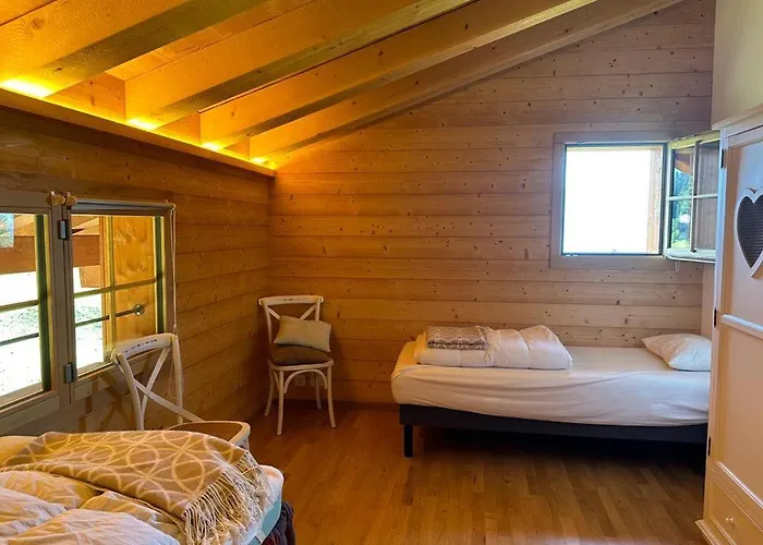 Chalet Petitchevrier - 6br Spacious In Villars - Designed For Accessibility *