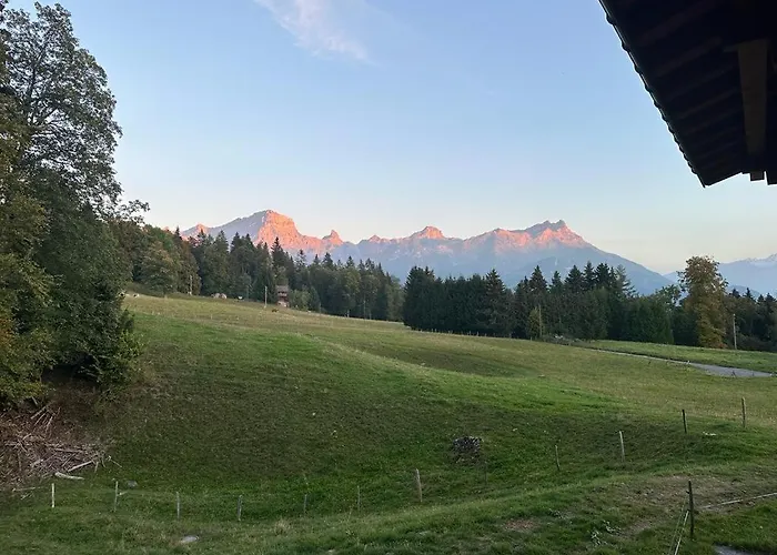 Petitchevrier - 6br Spacious In Villars - Designed For Accessibility Chalet Ollon