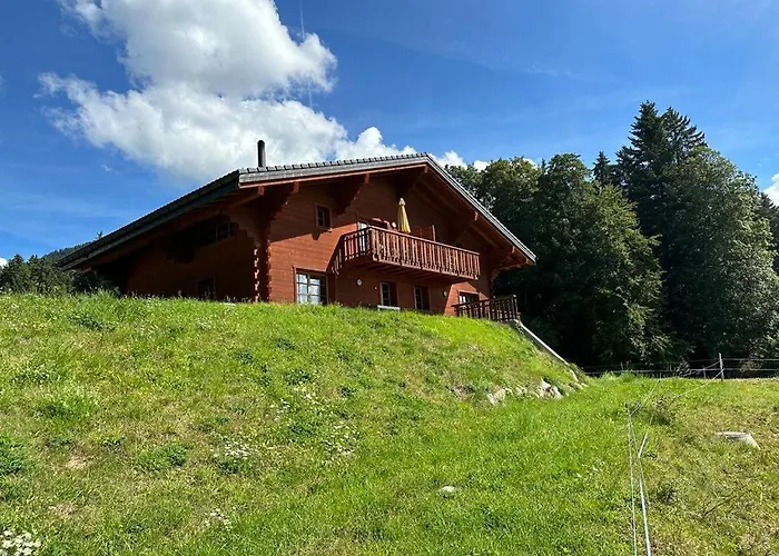 Petitchevrier - 6br Spacious In Villars - Designed For Accessibility Ollon