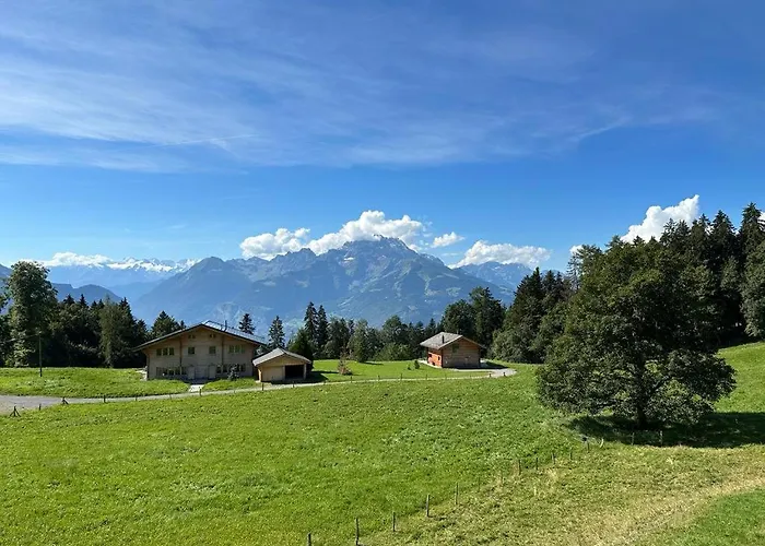 Petitchevrier - 6br Spacious In Villars - Designed For Accessibility * Ollon