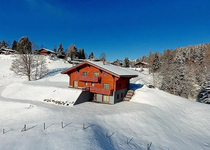 Petitchevrier - 6br Spacious In Villars - Designed For Accessibility * Ollon