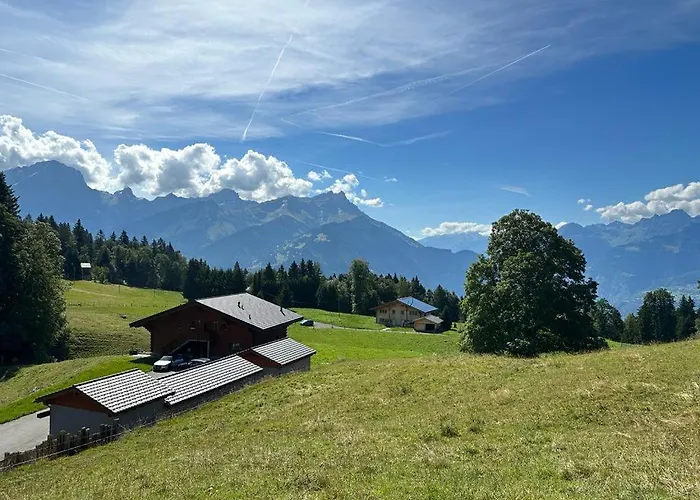 Petitchevrier - 6br Spacious In Villars - Designed For Accessibility Ollon