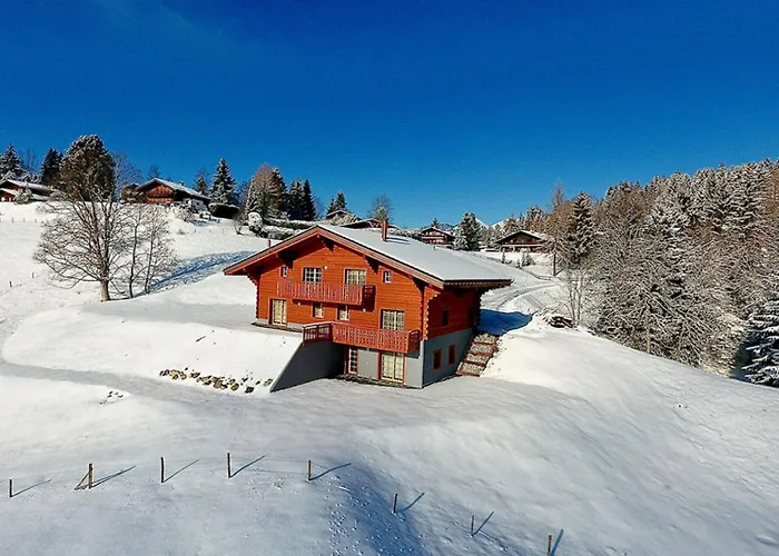 Petitchevrier - 6br Spacious In Villars - Designed For Accessibility