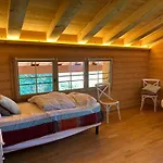 Petitchevrier - 6br Spacious In Villars - Designed For Accessibility * Ollon