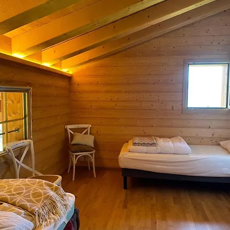 Chalet Petitchevrier - 6br Spacious In Villars - Designed For Accessibility *