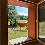 Alpesi faház Petitchevrier - 6br Spacious In Villars - Designed For Accessibility *