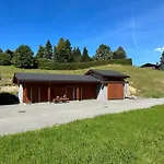 Alpesi faház Petitchevrier - 6br Spacious In Villars - Designed For Accessibility Ollon