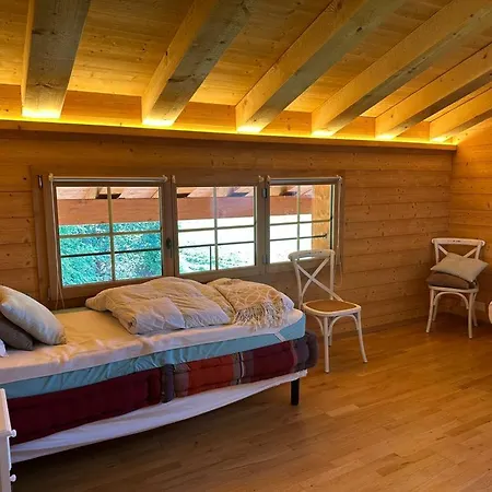 Petitchevrier - 6br Spacious In Villars - Designed For Accessibility * Ollon