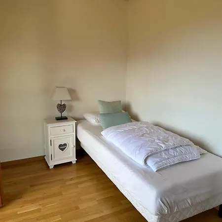 シャレー Petitchevrier - 6br Spacious In Villars - Designed For Accessibility *